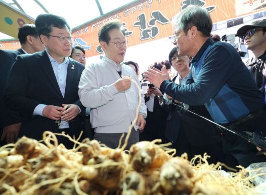 ▲더불어민주당 이재명 대선 후보가 '골목골목 경청투어:국토종주편'에 나선 7일 전북 진안군 새참거리 앞 인삼 가게에서 수삼을 먹어보고 있다. ⓒ연합뉴스