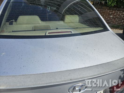 ▲18일 광주 광산구 송정동 금호타이어 광주공장 인근 아파트 앞에 주차된 차량의 모습. 지워지지 않은 그을음이 묻어 있다.2025.05.18ⓒ프레시안(김보현)