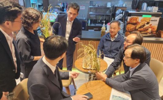 ▲전남도가 최근 강형석 농식품부 차관을 만나 깨씨무늬병을 재해로 인정해줄 것을 건의하고 있다.2025.10.04ⓒ전남도 제공