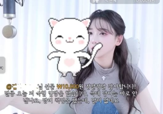 ⓒ감동란tv 유튜브 화면 갈무리