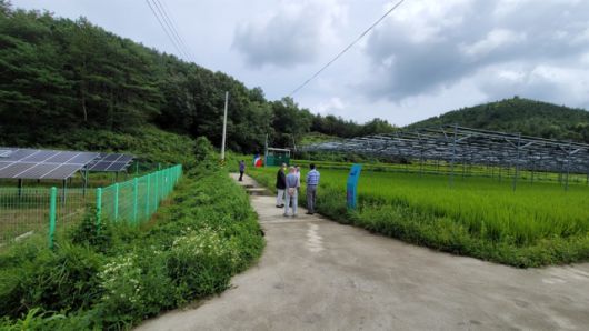 ▲ 농지를 없애는 농촌형 태양광과 농지를 보존하는 영농형태양광(사진: 박승옥)