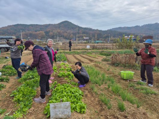 ▲ 경북 구미 '사랑고리'. ⓒ사랑고리