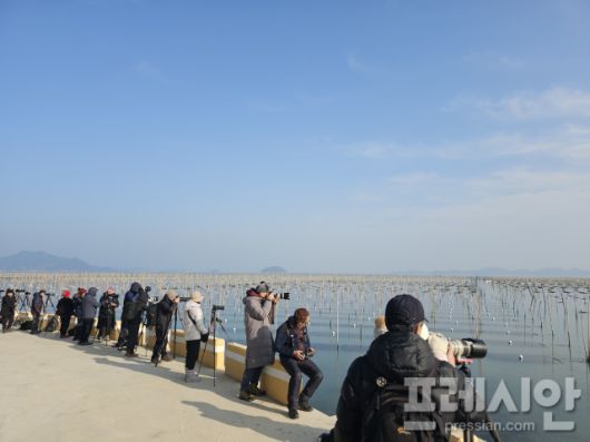 ▲사진촬영 작가, 동호회원ⓒ장흥군
