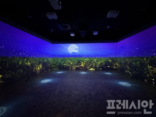 ▲ 완주생강문화공간 시앙에 마련된 실감형 미디어아트 전시관. 밤하늘과 생강밭 풍경을 영상으로 구현해, 관람객이 완주생강전통농업의 환경과 정서를 몰입형 콘텐츠로 체험할 수 있도록 구성됐다. ⓒ완주군