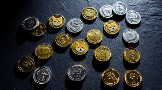 각종 밈코인 [사진: Reve AI]