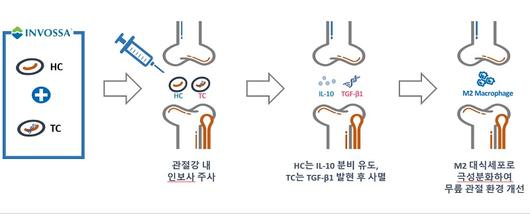 비즈니스워치