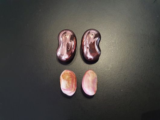 강낭콩을 구하기 위해 마트를 세 군데 돌아다녔다. 원하던 강낭콩을 구하지는 못했지만, 강낭콩류라는 호랑이콩을 찾았다. 갤럭시 버즈 라이브 이어버드와 나란히 놓고 보니 왜 강낭콩이라고 불리는 지 알만 했다./사진=백유진 기자