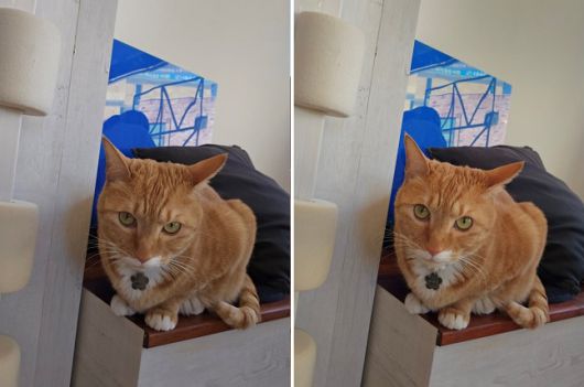 전면 카메라 색감 탭을 활용해 촬영한 사진. 왼쪽은 자연스럽게, 오른쪽은 화사하게로 설정해 찍었다./사진=백유진 기자 byj@