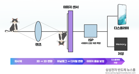 비즈워치