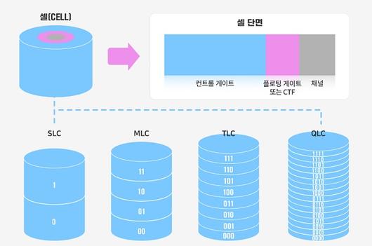 비즈워치