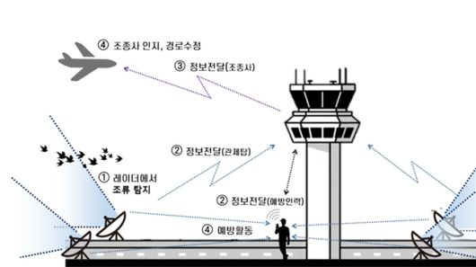 비즈워치