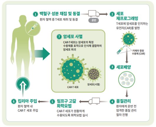 CAR-T 치료제의 제조·생산 과정 /이미지=한국노바티스