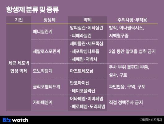 주요 항생제 종류. /그래픽=비즈워치