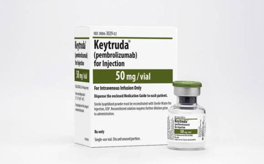 미국 머크사가 개발한 세계 1위 항암제 '키트루다' /이미지=머크 홈페이지