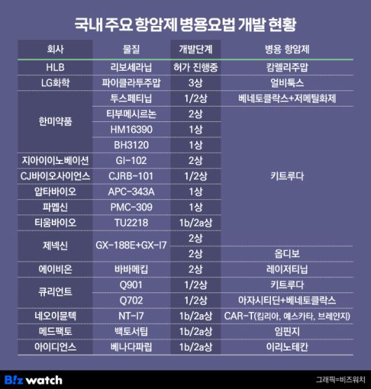 국내 주요 항암제 병용요법 개발 현황. /그래픽=비즈워치
