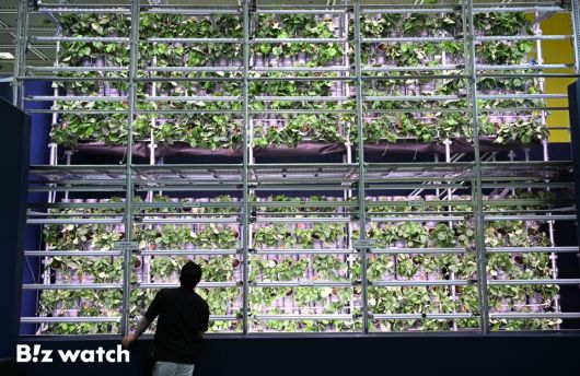 16일 서울 강남구 코엑스에서 열린 '제3회 농식품테크 스타트업 창업박람회'에 참가한 관람객이 딸기 재배 스마트팜을 보고 있다./사진=이명근 기자 qwe123@