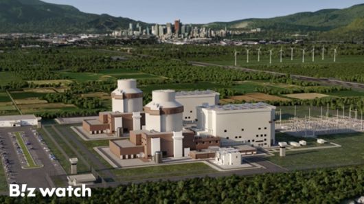 현대건설·웨스팅하우스가 글로벌 확대 추진 중인 대형원전 AP1000/자료=현대건설