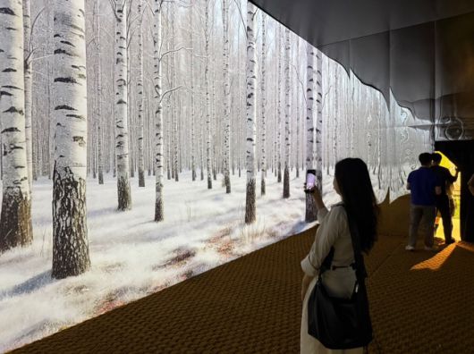 영양군 자작나무 숲의 사계절을 표현한 미디어아트/사진=김다이 기자 @neverdie