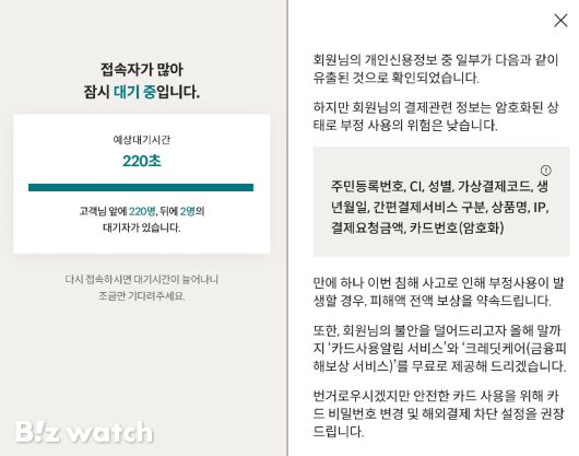 롯데카드 해킹 사고로 롯데카드 회원이 확인한 개인정보 유출 내역. 사진=비즈워치