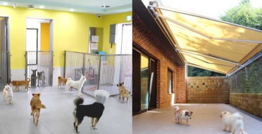 리뉴얼한 '노견정'의 전경/사진=11번가