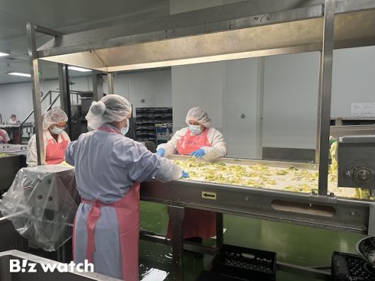 대상푸즈USA가 운영하는 대상 LA 김치공장에서 직원들이 배추를 살펴보고 있다. / 사진=정혜인 기자 hij@