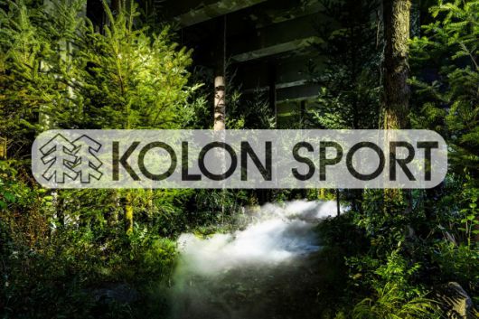 /그래픽=비즈워치