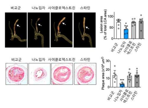 연합포토