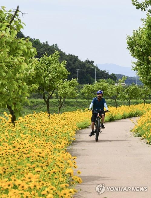 연합포토