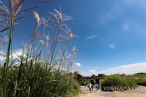 연합포토