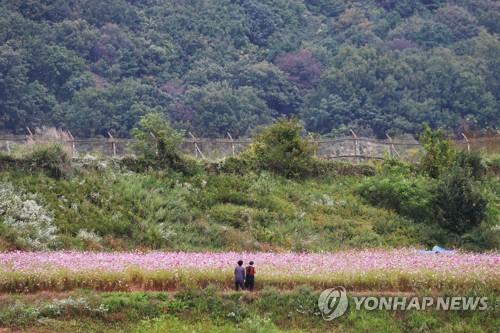 연합포토