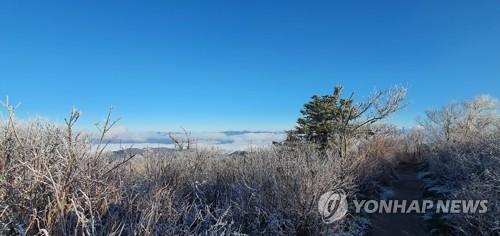 연합포토