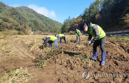 연합포토