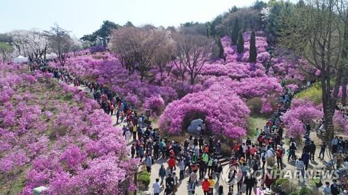 연합포토