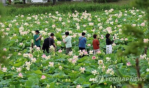 연합포토