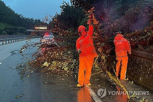 연합포토