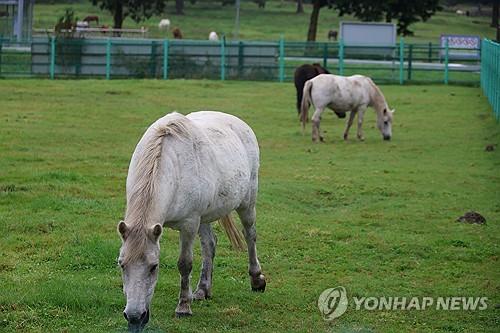 연합포토