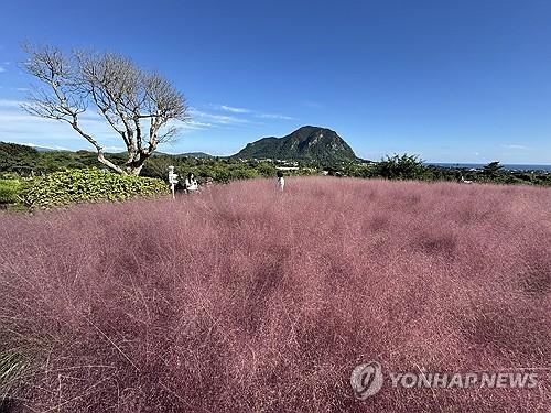 연합포토