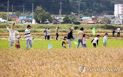 연합포토