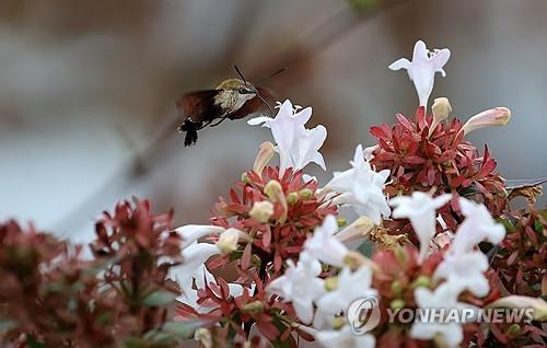 연합포토