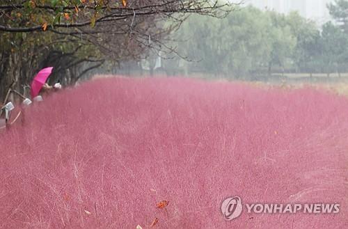 연합포토