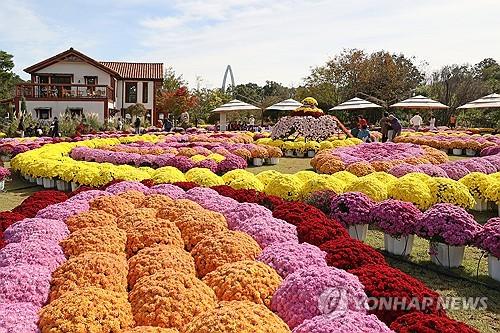 연합포토