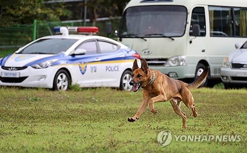 연합포토