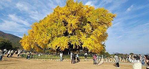 연합포토