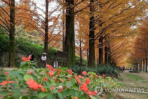 연합포토