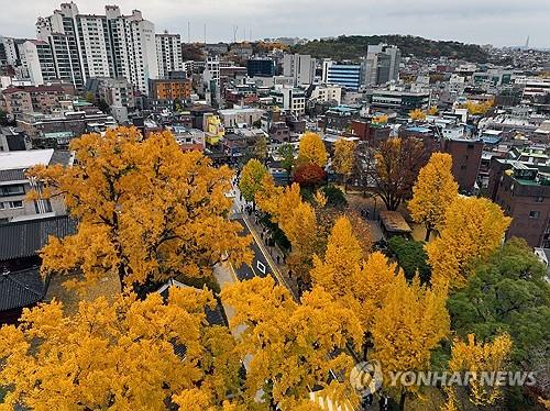 연합포토