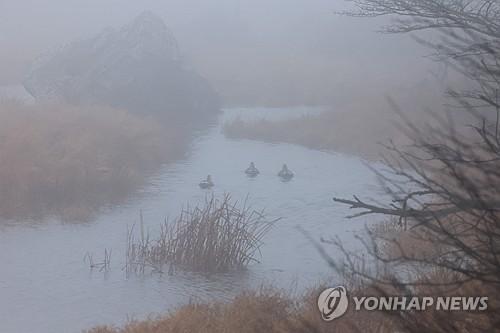 연합포토