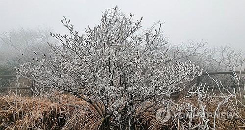 연합포토