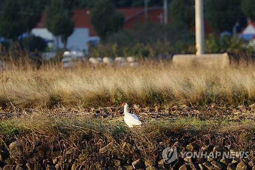 연합포토