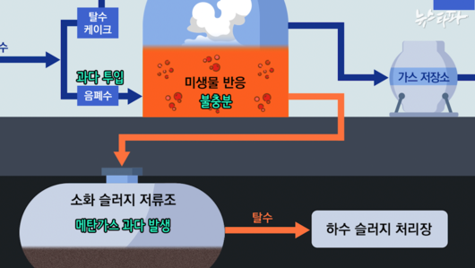 뉴스타파