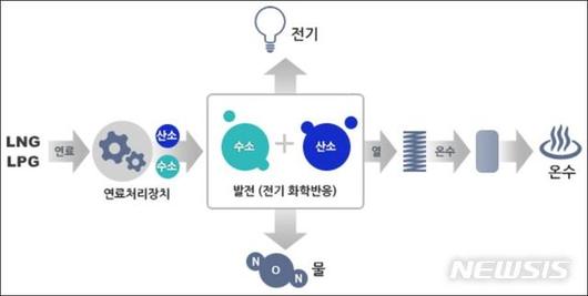 뉴시스